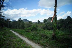 BIB: 
                            <button type="button" onclick="openModal(21792556)" class="btn btn-primary btn-sm float-right btn-popup" data-toggle="modal" data-target=".modal-high-quality">
                        <i class="fas fa-shopping-cart"></i> Add to Cart
                    </button>
                                            <button type="button" onclick="isThisMe(21792556, true)" class="btn btn-success btn-sm float-right btn-popup btn-isme hidden" data-toggle="tooltip" data-placement="bottom" title="นี่คือรูปของคุณใช่ไหม คลิกที่นี่เพื่อเอาเข้าอัลบั้ม">
                        <i class="fas fa-plus"></i> Add to album
                    </button>
                    <button type="button" onclick="isThisMe(21792556, false)" class="btn btn-warning btn-sm float-right btn-popup btn-isnotme hidden">
                        <i class="fas fa-ban"></i> Remove from album
                    </button>